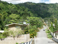 SONY DSC