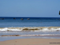SONY DSC