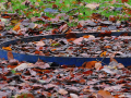 DSC_7694_mini