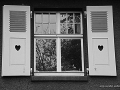 dsc_1375-001
