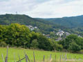 MK-0498-min MK-0498-min