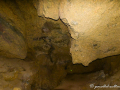 MK-0521-min MK-0521-min