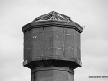 dsc_8455