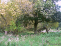 P1000683