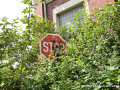 DSC_6390-min