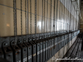 DSC_6434-min