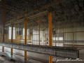DSC_6595-min
