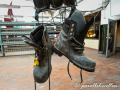 DSC_6737-min