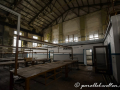 DSC_7001-min