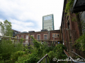DSC_7012-min