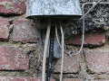DSC_1049_mini